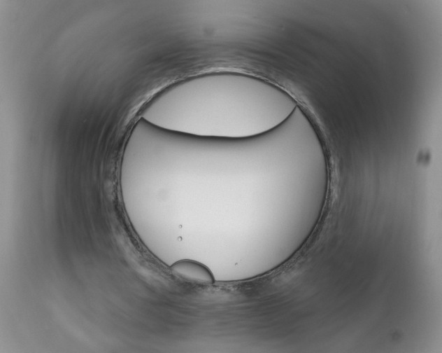 X0000111130386200906301110
