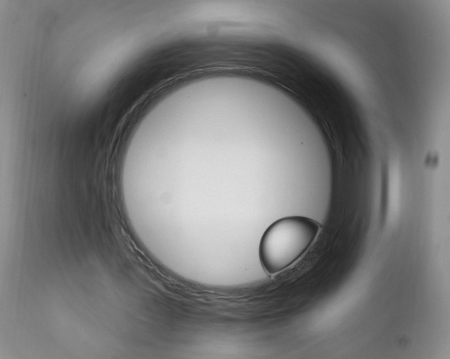 X0000111130387200906301110