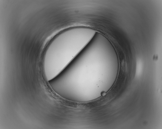X0000111130388200906301110