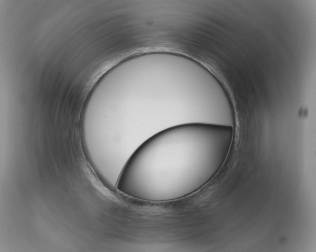X0000111130389200906301110