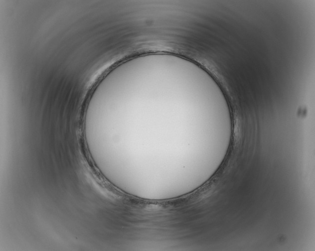 X0000111130390200906301110