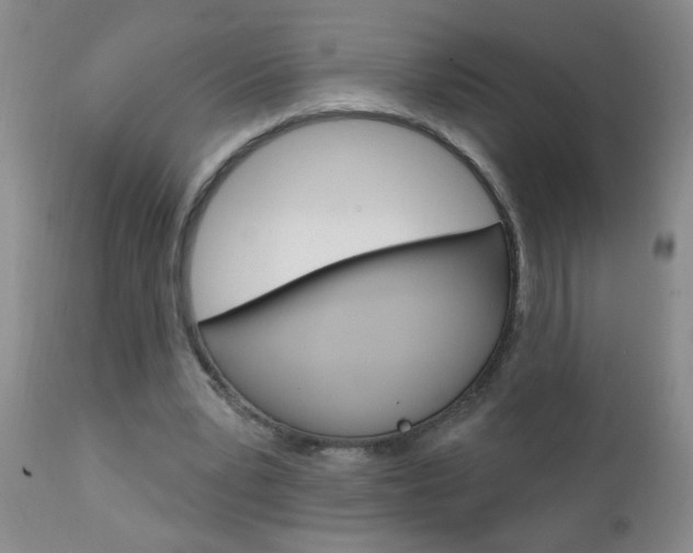 X0000111130391200906301110