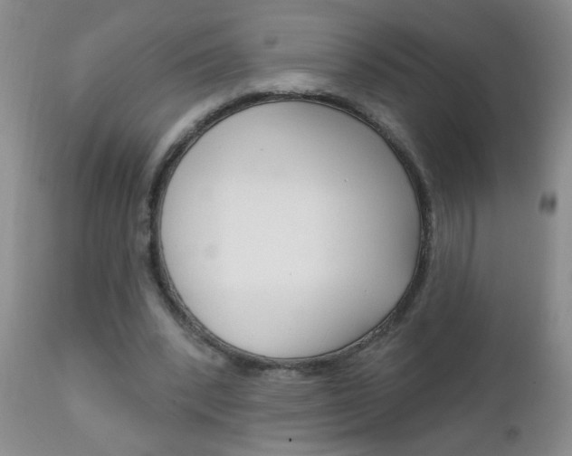 X0000111130392200906301110