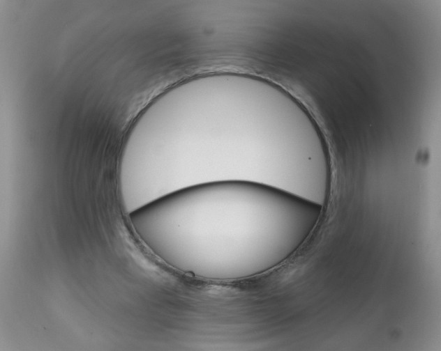 X0000111130393200906301110