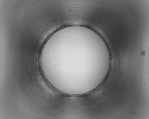 X0000111130394200906301110