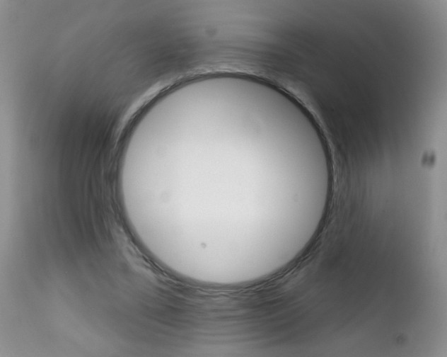 X0000111130395200906301110