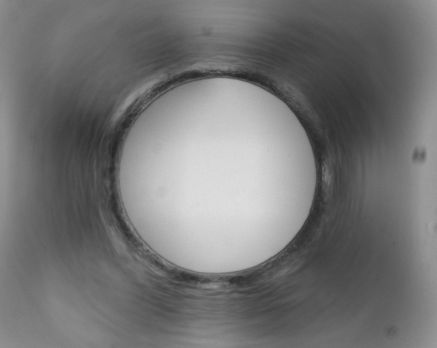 X0000111130396200906301110