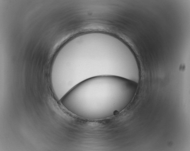 X0000111130399200906301110