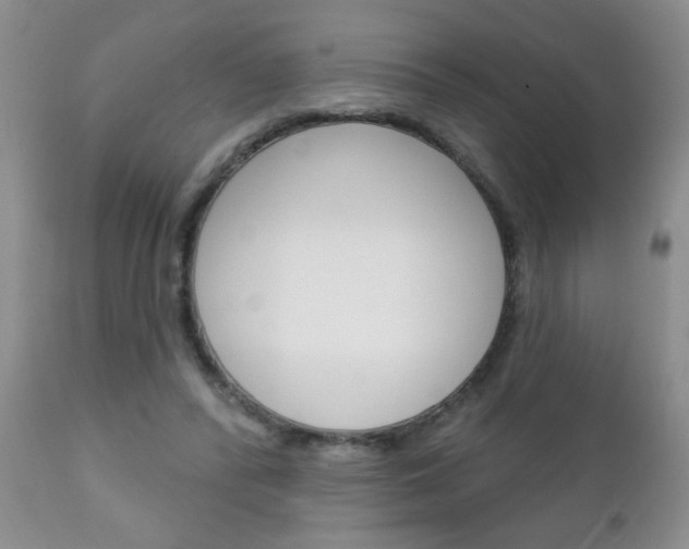 X0000111130400200906301110