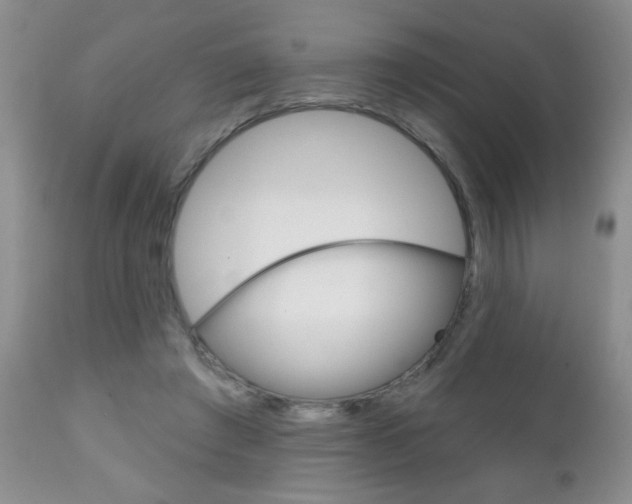 X0000111130401200906301110
