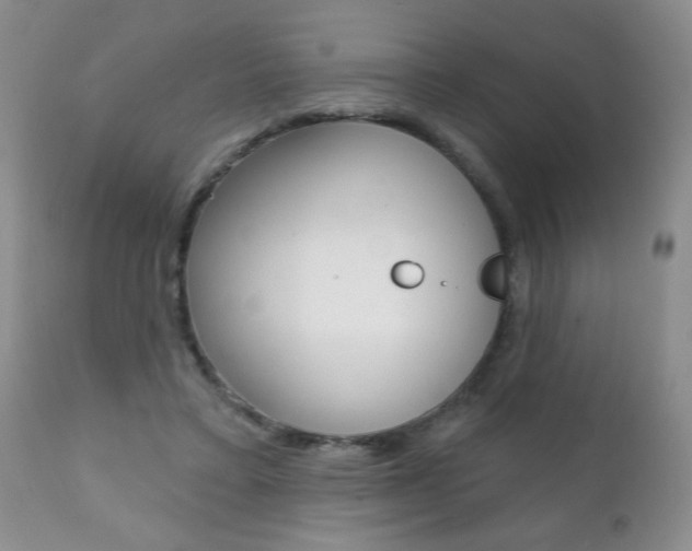 X0000111130403200906301110