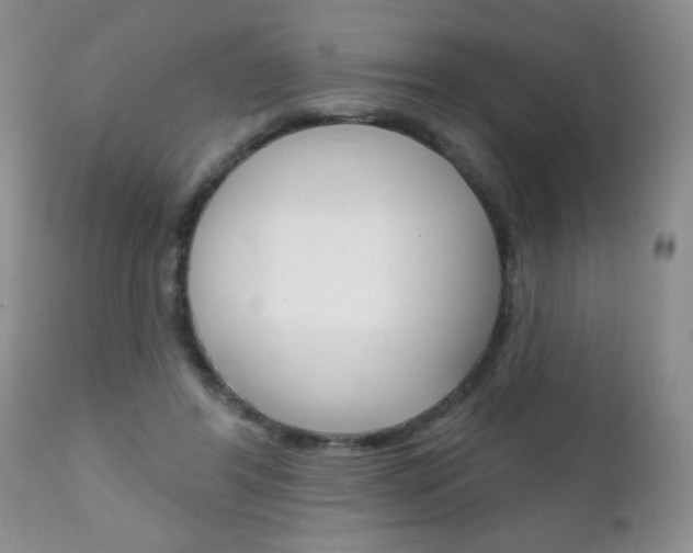 X0000111130404200906301110