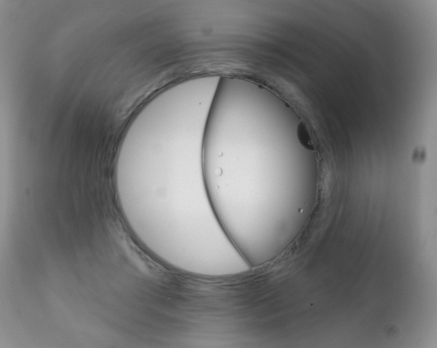 X0000111130405200906301110