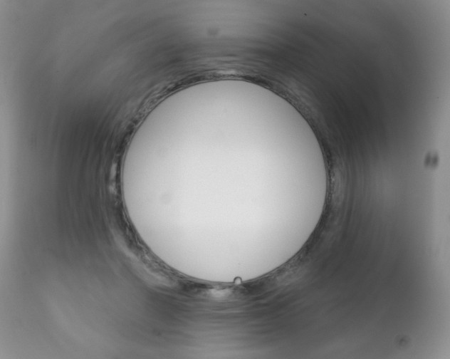 X0000111130406200906301110