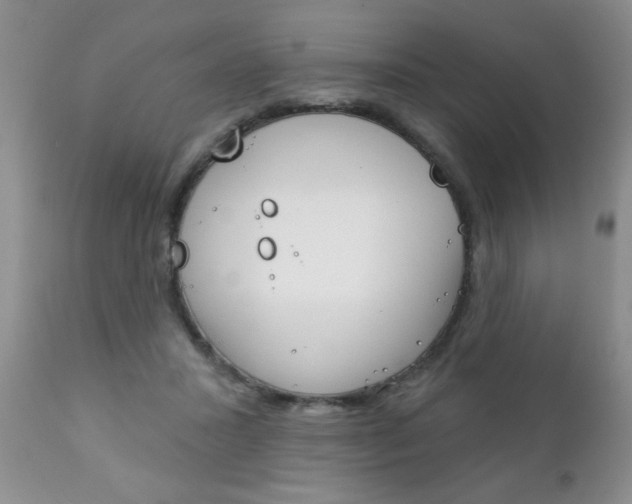 X0000111130407200906301110