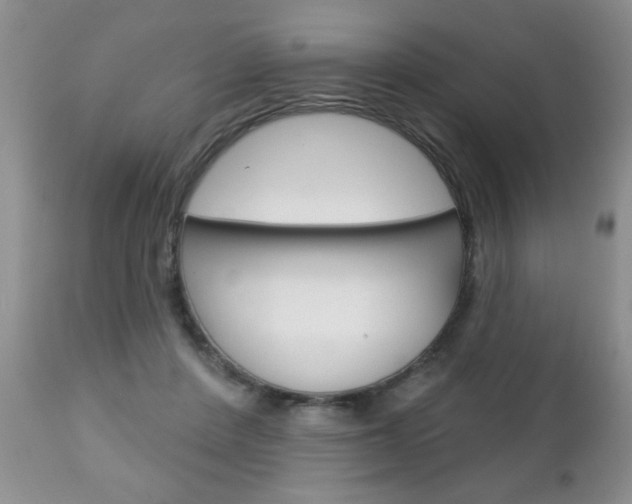 X0000111130408200906301110