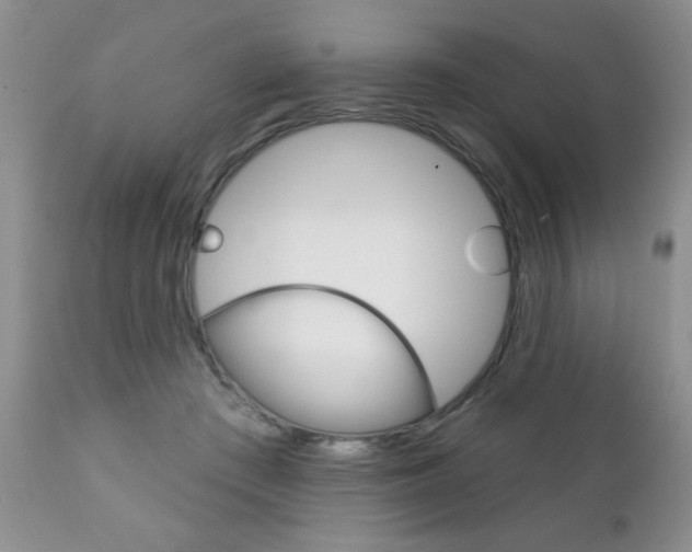 X0000111130409200906301110