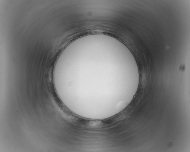 X0000111130410200906301110