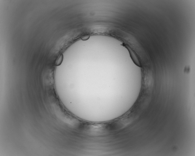 X0000111130411200906301110