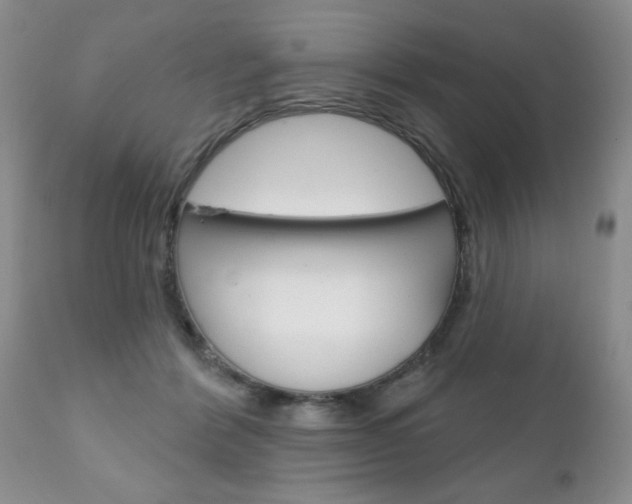 X0000111130412200906301110
