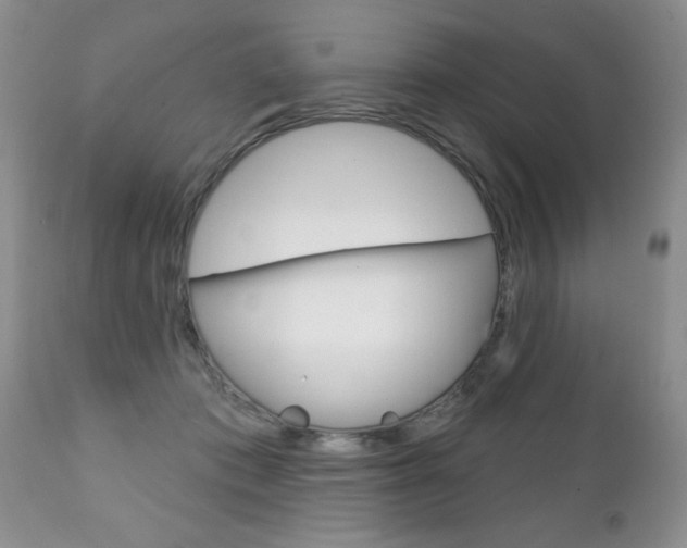 X0000111130413200906301110