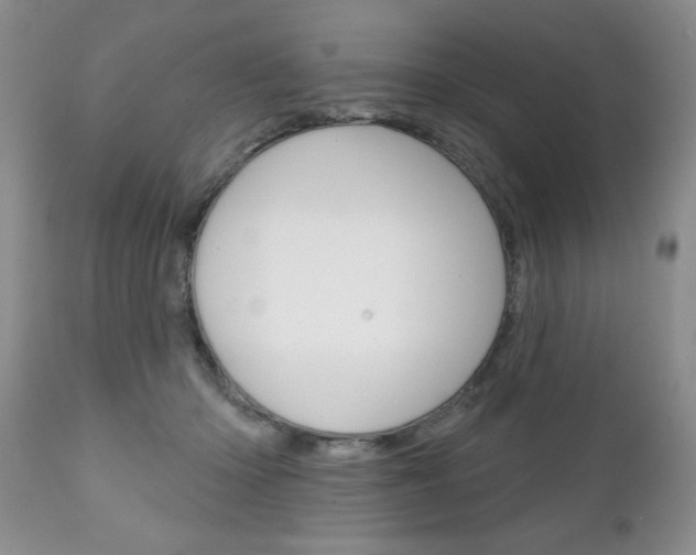 X0000111130414200906301110