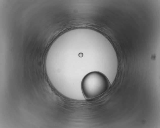 X0000111130415200906301110