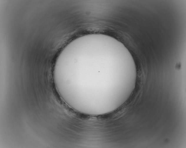 X0000111130416200906301110