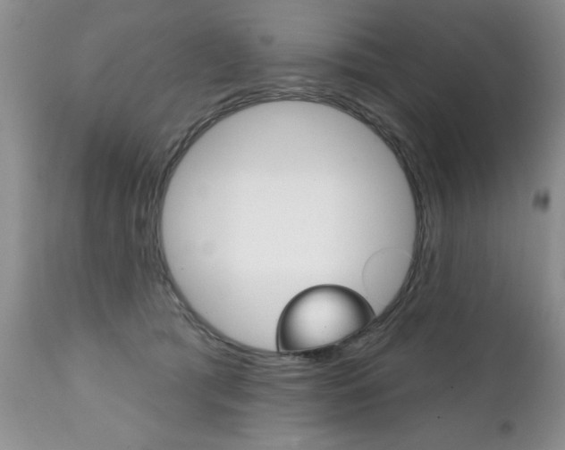 X0000111130417200906301110