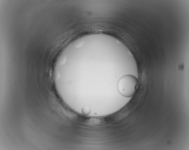 X0000111130418200906301110