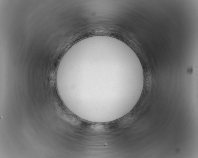 X0000111130419200906301110