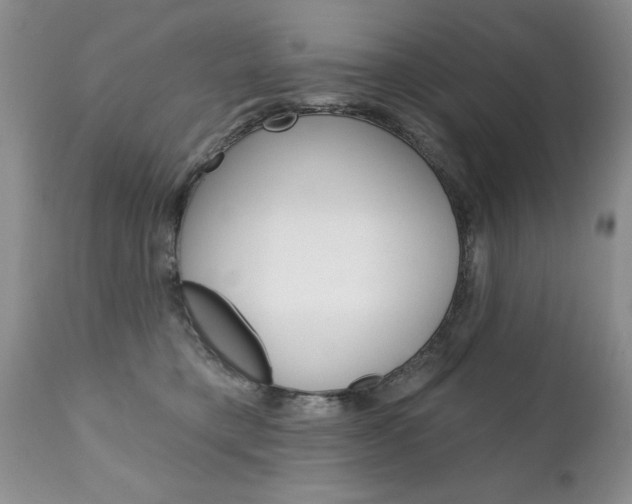 X0000111130421200906301110