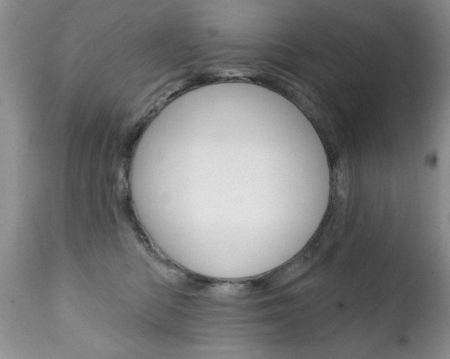 X0000111130422200906301110