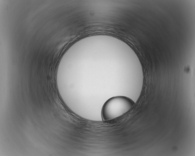 X0000111130423200906301110