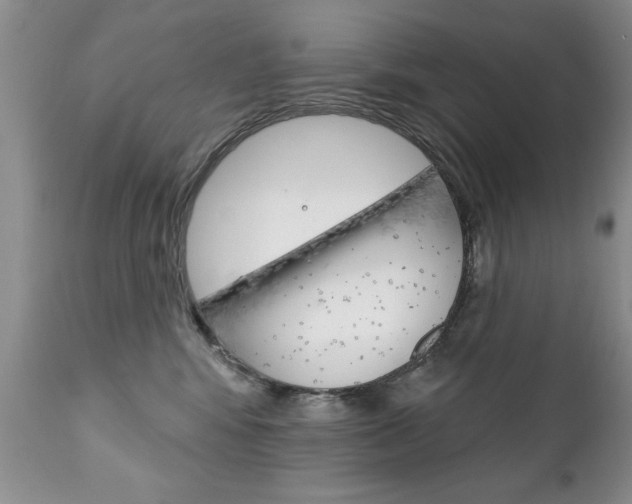 X0000111130424200906301110