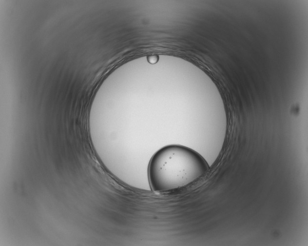 X0000111130425200906301110