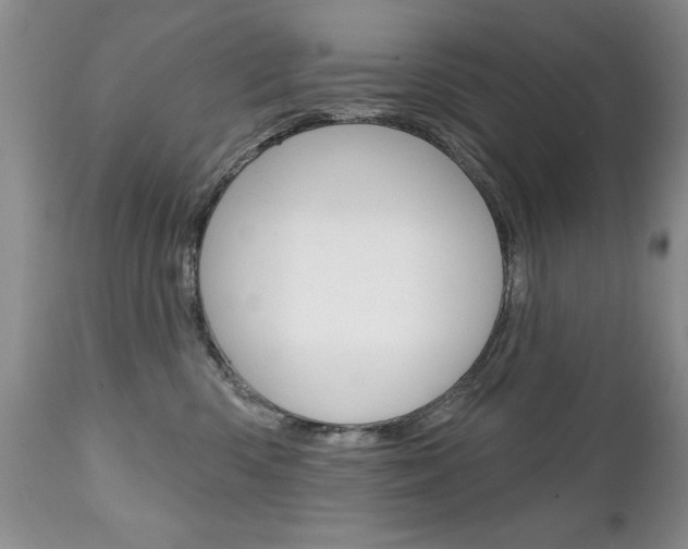 X0000111130426200906301110