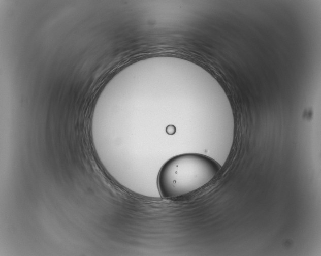 X0000111130427200906301110