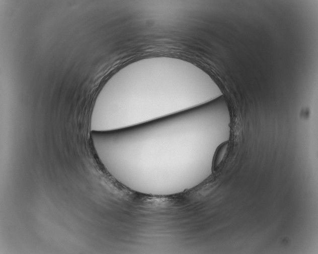 X0000111130428200906301110