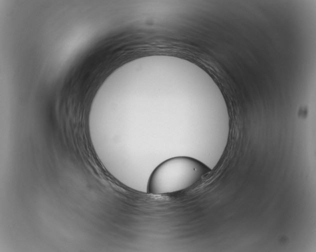 X0000111130429200906301110