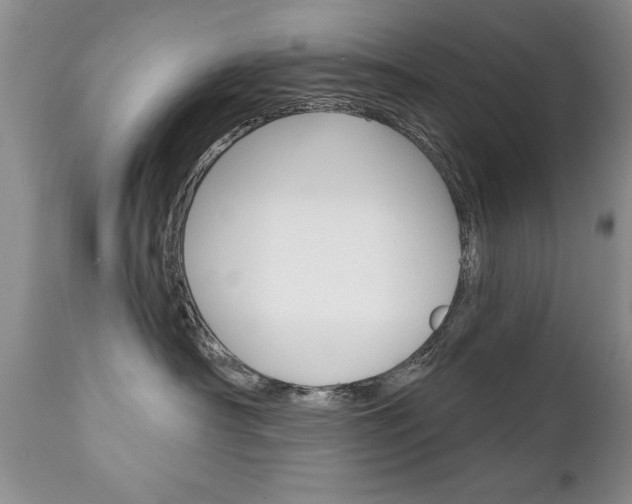 X0000111130430200906301110