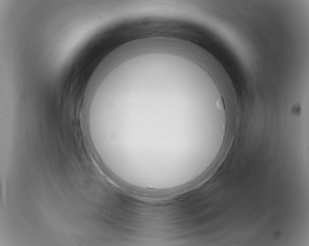 X0000111130431200906301110