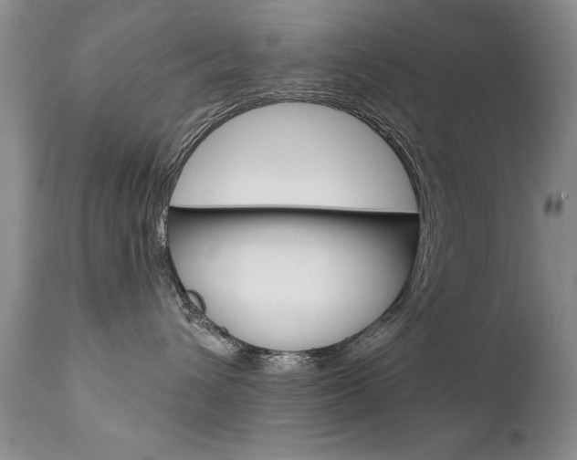 X0000111130432200906301110
