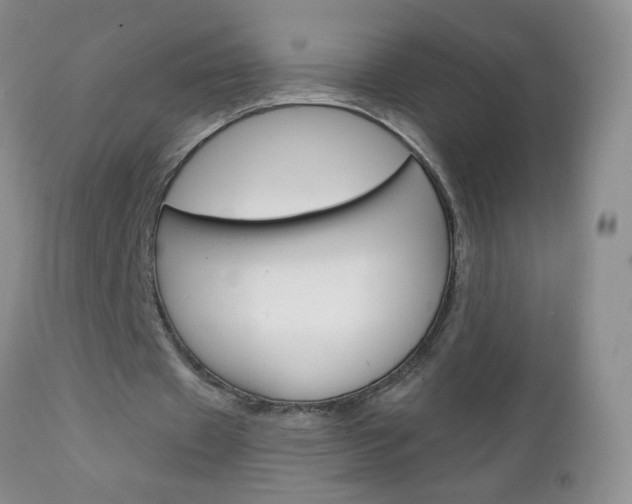 X0000111130433200906301109