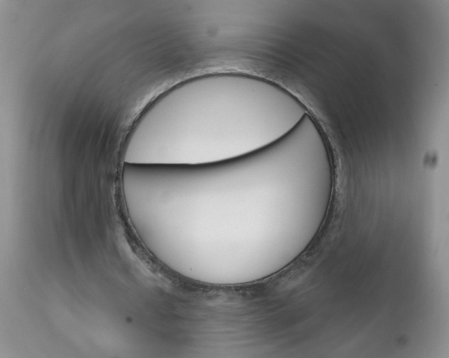 X0000111130434200906301109