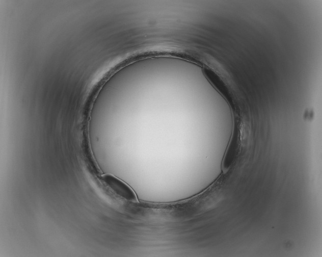 X0000111130436200906301109
