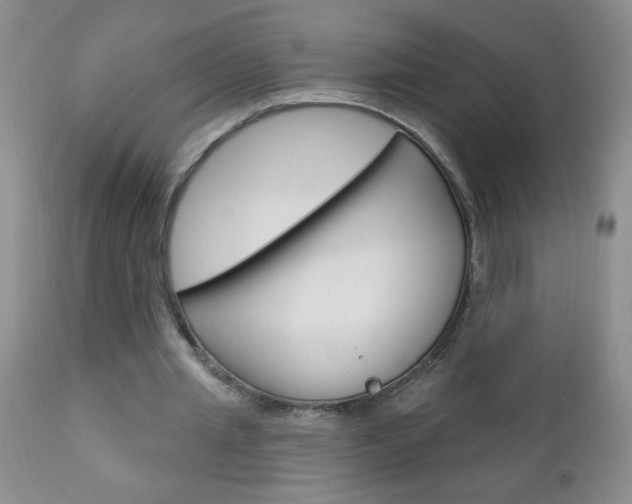 X0000111130437200906301109
