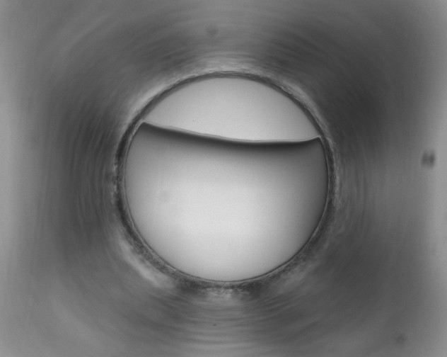 X0000111130439200906301109
