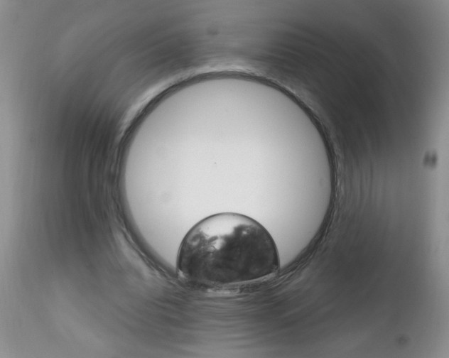 X0000111130440200906301109
