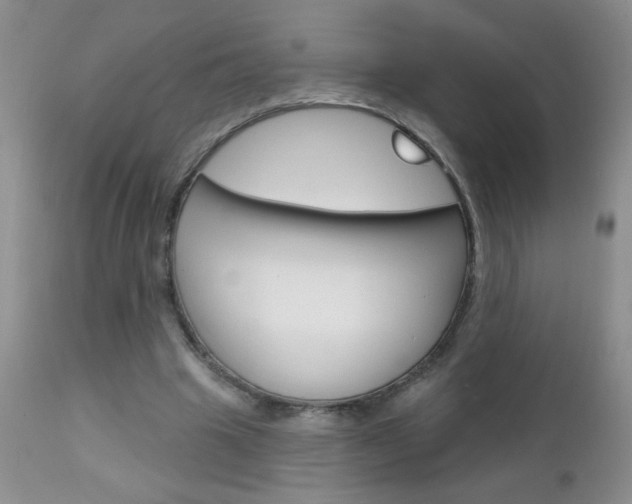 X0000111130441200906301109